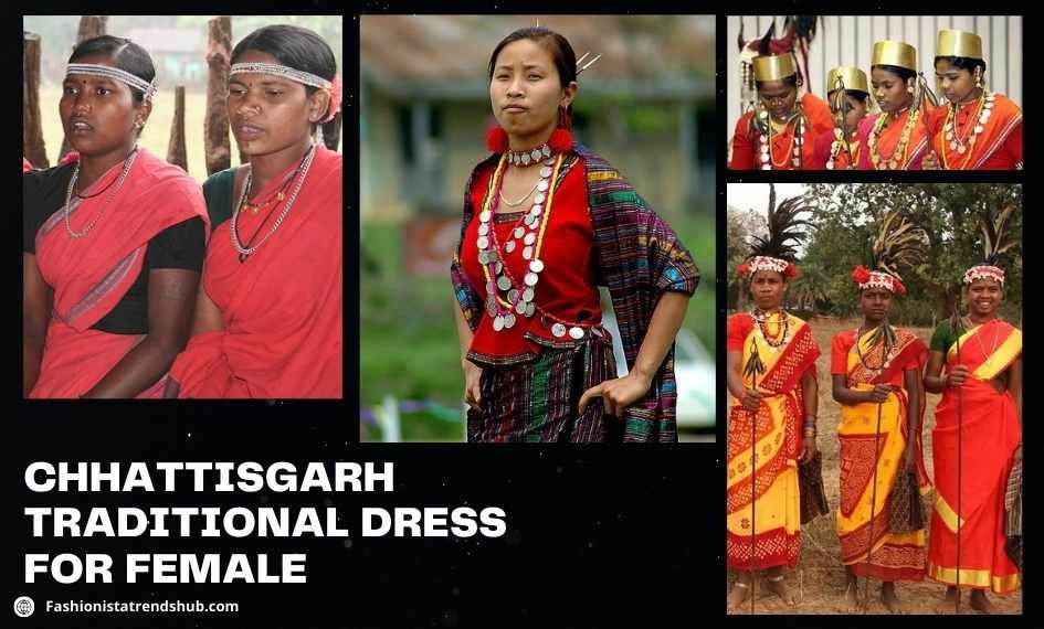 Chhattisgarh Traditional Dress for Female