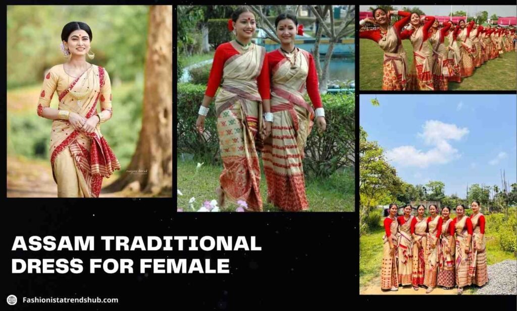 Traditional Dress of Assam Female