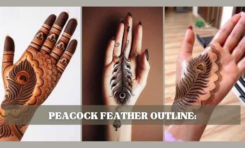 Peacock Feather Outline